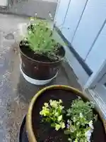 大鏑神社(福島県)