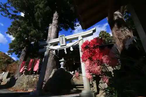 高司神社〜むすびの神の鎮まる社〜の鳥居