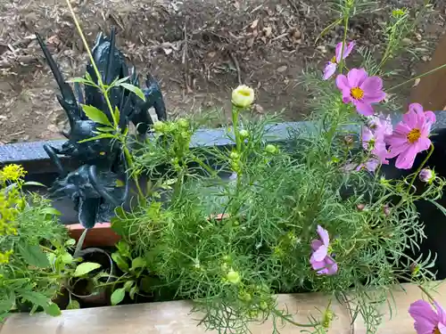 下野 星宮神社の手水舎