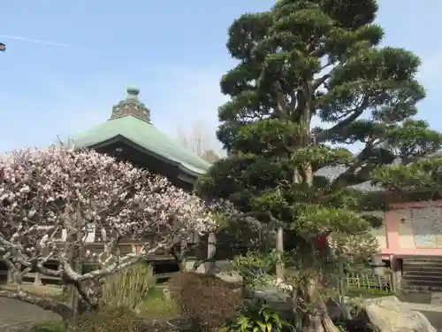 極楽寺（霊鷲山感應院極楽律寺）の庭園