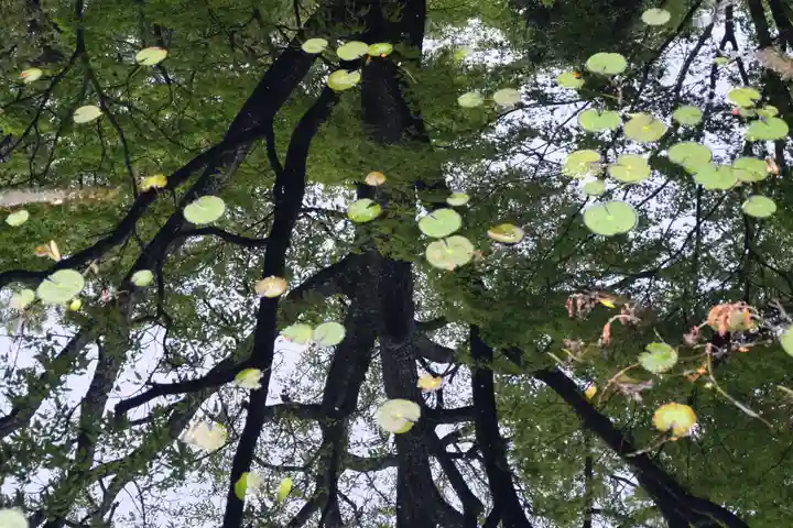 屋島寺(香川県)