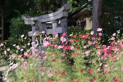 隠津島神社の景色