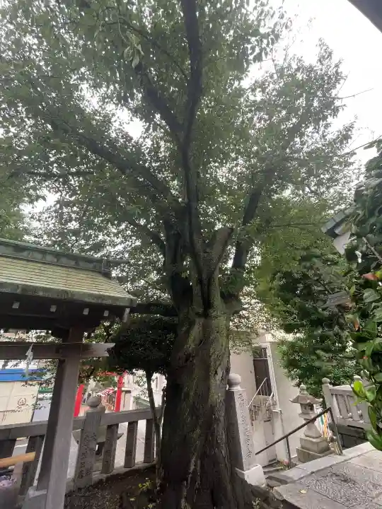元町厳島神社(神奈川県)