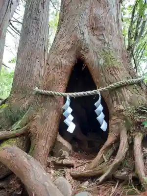 戸隠神社奥社の{uncategorized: "未分類", other: "その他", undefined: "問題あり", building: "その他建物", grave: "お墓", sacred_gate: "鳥居", guardian: "狛犬", statue: "像", buddha: "仏像", history: "歴史", nature: "自然", garden: "庭園", animal: "動物", pagoda: "塔", temizu: "手水舎", mountain_gate: "山門・神門", sanctuary: "本殿・本堂", subordinate: "末社・摂社", art: "芸術", scenery: "景色", jizo: "地蔵", ema: "絵馬", goshuin: "御朱印", omikuji: "おみくじ", items: "授与品その他", amulet: "お守り", goshuincho: "御朱印帳", eats: "食事", festival: "お祭り", votive_dance: "神楽", shichigosan: "七五三参", wedding: "結婚式", experience: "体験その他", initially: "初詣", around: "周辺", anti_infection: "感染症対策"}