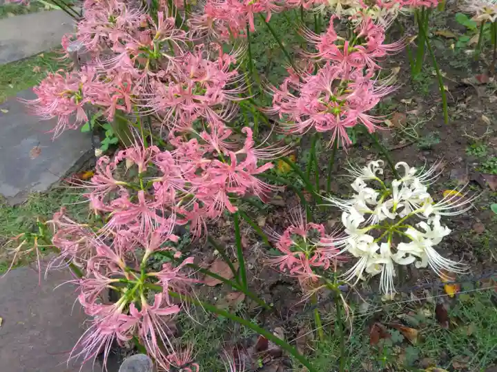 横浜 西方寺(神奈川県)