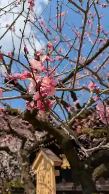 北野天満宮(京都府)