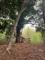 三峯神社(千葉県)