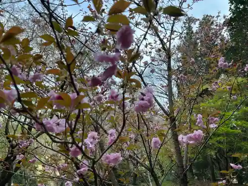 大宮温泉神社(栃木県)