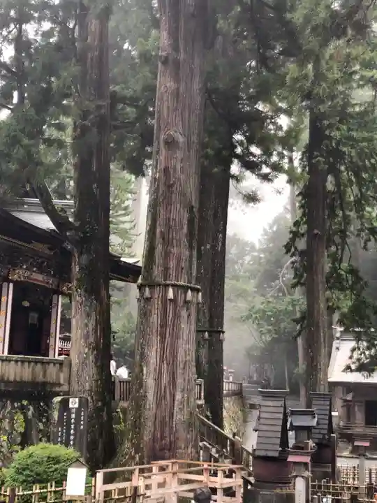 三峯神社の自然