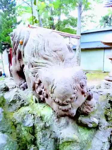 今井神社の狛犬