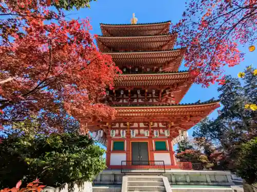高幡不動尊　金剛寺(東京都)