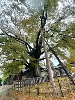 神明宮(石川県)
