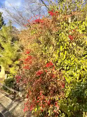 京都乃木神社(京都府)