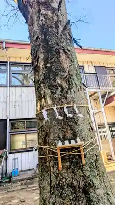 今井神社(千葉県)