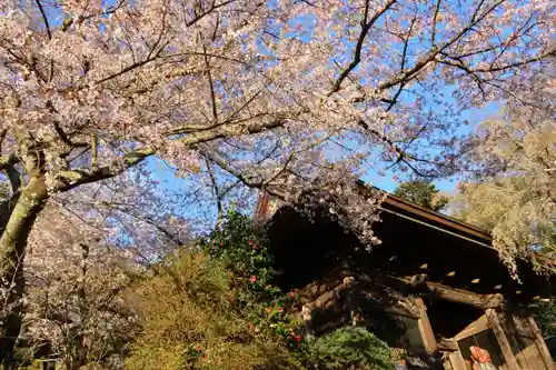 田村大元神社の景色