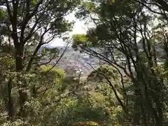 旧愛宕神社の自然