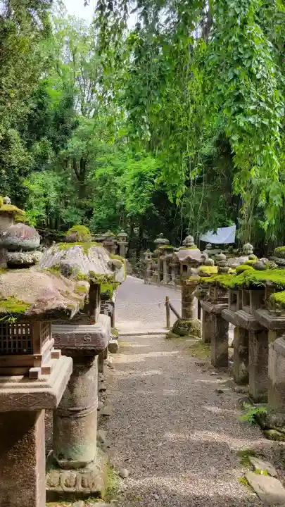春日大社の{uncategorized: "未分類", other: "その他", undefined: "問題あり", building: "その他建物", grave: "お墓", sacred_gate: "鳥居", guardian: "狛犬", statue: "像", buddha: "仏像", history: "歴史", nature: "自然", garden: "庭園", animal: "動物", pagoda: "塔", temizu: "手水舎", mountain_gate: "山門・神門", sanctuary: "本殿・本堂", subordinate: "末社・摂社", art: "芸術", scenery: "景色", jizo: "地蔵", ema: "絵馬", goshuin: "御朱印", omikuji: "おみくじ", items: "授与品その他", amulet: "お守り", goshuincho: "御朱印帳", eats: "食事", festival: "お祭り", votive_dance: "神楽", shichigosan: "七五三参", wedding: "結婚式", experience: "体験その他", initially: "初詣", around: "周辺", anti_infection: "感染症対策"}