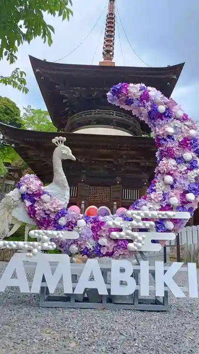 楽法寺(雨引観音)(茨城県)