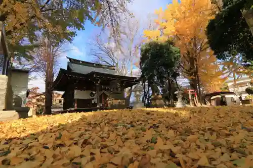 熊野福藏神社の本殿・本堂