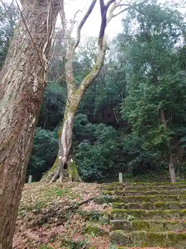 熊野大社(島根県)