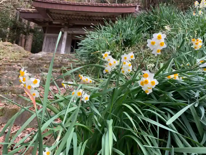 神明神社の自然