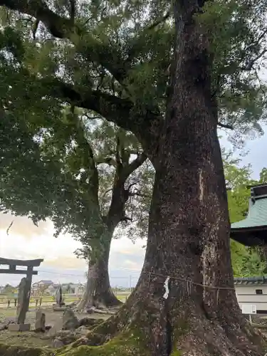 溝口竃門神社(福岡県)