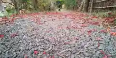 鍬山神社(京都府)