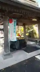 乃木神社の手水