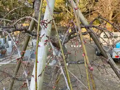 伊勢の国 四天王寺(三重県)
