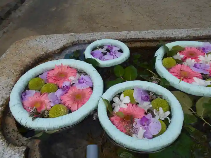 飯野八幡宮の手水舎