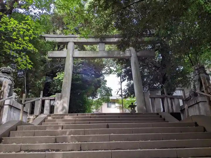 渋谷氷川神社の鳥居
