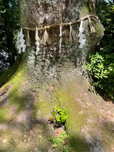 佐備神社(大阪府)