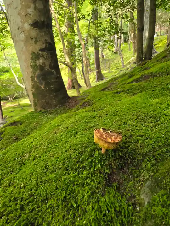 慈照寺(慈照禅寺・銀閣寺)(京都府)