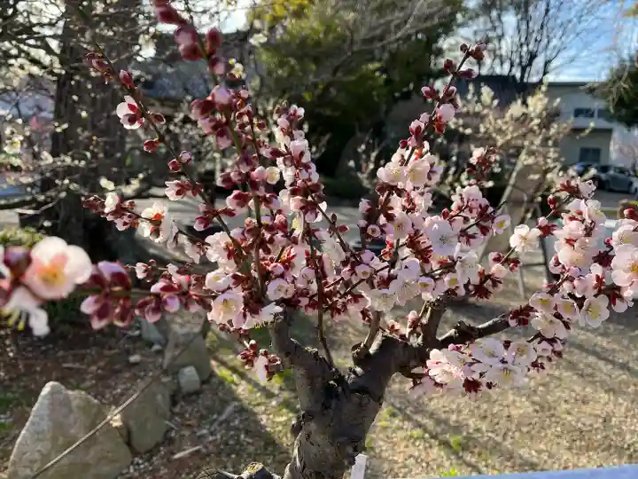道明寺天満宮(大阪府)
