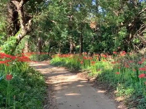 熊野神社の庭園