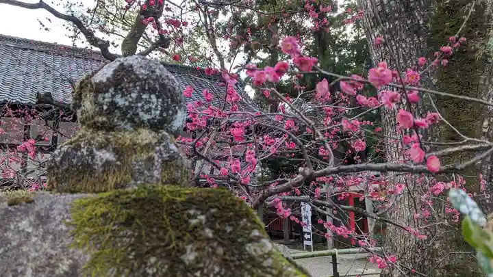 北野天満宮(京都府)