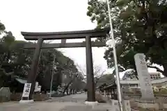 愛知縣護國神社の鳥居