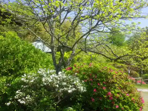 浄光明寺の自然
