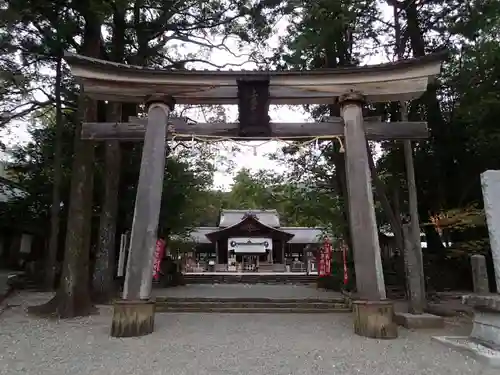 土佐神社の鳥居