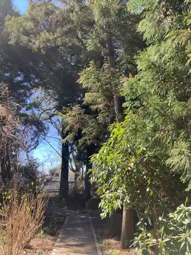 白岡八幡神社(埼玉県)