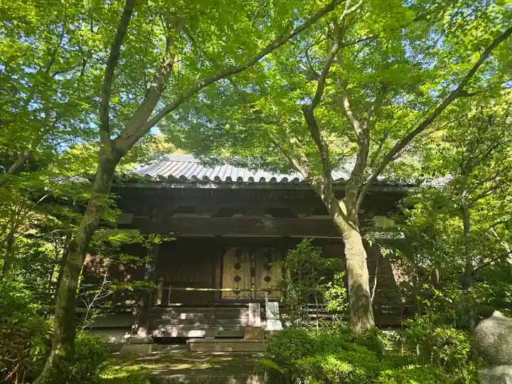 善法律寺(京都府)