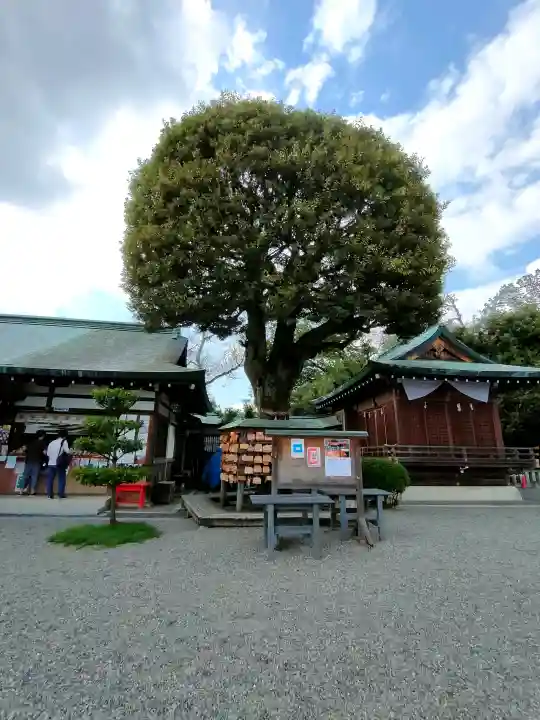 足利織姫神社の{uncategorized: "未分類", other: "その他", undefined: "問題あり", building: "その他建物", grave: "お墓", sacred_gate: "鳥居", guardian: "狛犬", statue: "像", buddha: "仏像", history: "歴史", nature: "自然", garden: "庭園", animal: "動物", pagoda: "塔", temizu: "手水舎", mountain_gate: "山門・神門", sanctuary: "本殿・本堂", subordinate: "末社・摂社", art: "芸術", scenery: "景色", jizo: "地蔵", ema: "絵馬", goshuin: "御朱印", omikuji: "おみくじ", items: "授与品その他", amulet: "お守り", goshuincho: "御朱印帳", eats: "食事", festival: "お祭り", votive_dance: "神楽", shichigosan: "七五三参", wedding: "結婚式", experience: "体験その他", initially: "初詣", around: "周辺", anti_infection: "感染症対策"}