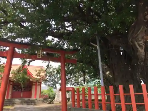 稲荷神社の鳥居