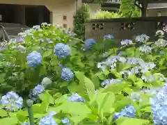 上戸田氷川神社(埼玉県)