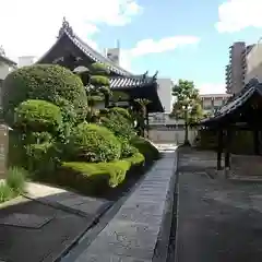 蓮成寺の景色