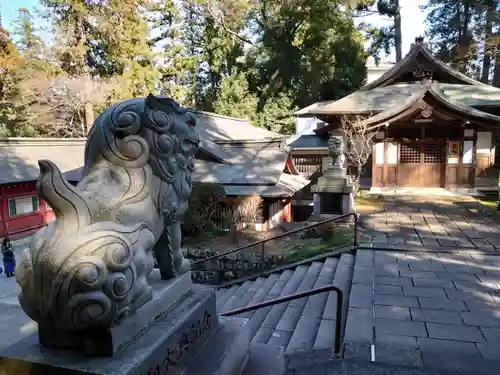 一之宮貫前神社の狛犬