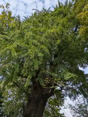 芝東照宮(東京都)