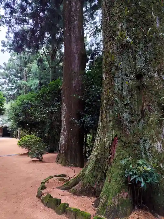 鶴林寺(徳島県)