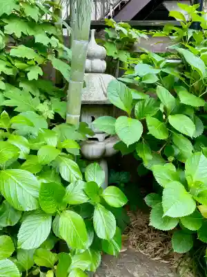 法林寺(東京都)