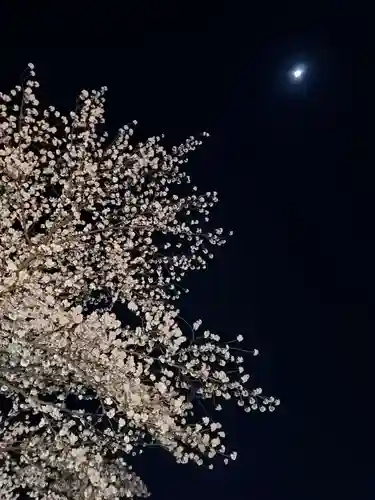 如宝寺(福島県)